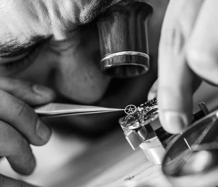 Timepiece examination